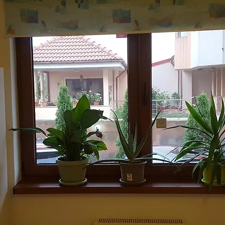 Chez Mamaia
